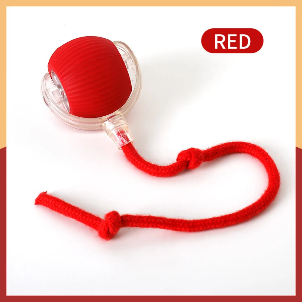 Interactive Automatic Rolling Ball Toy for Cats and Dogs