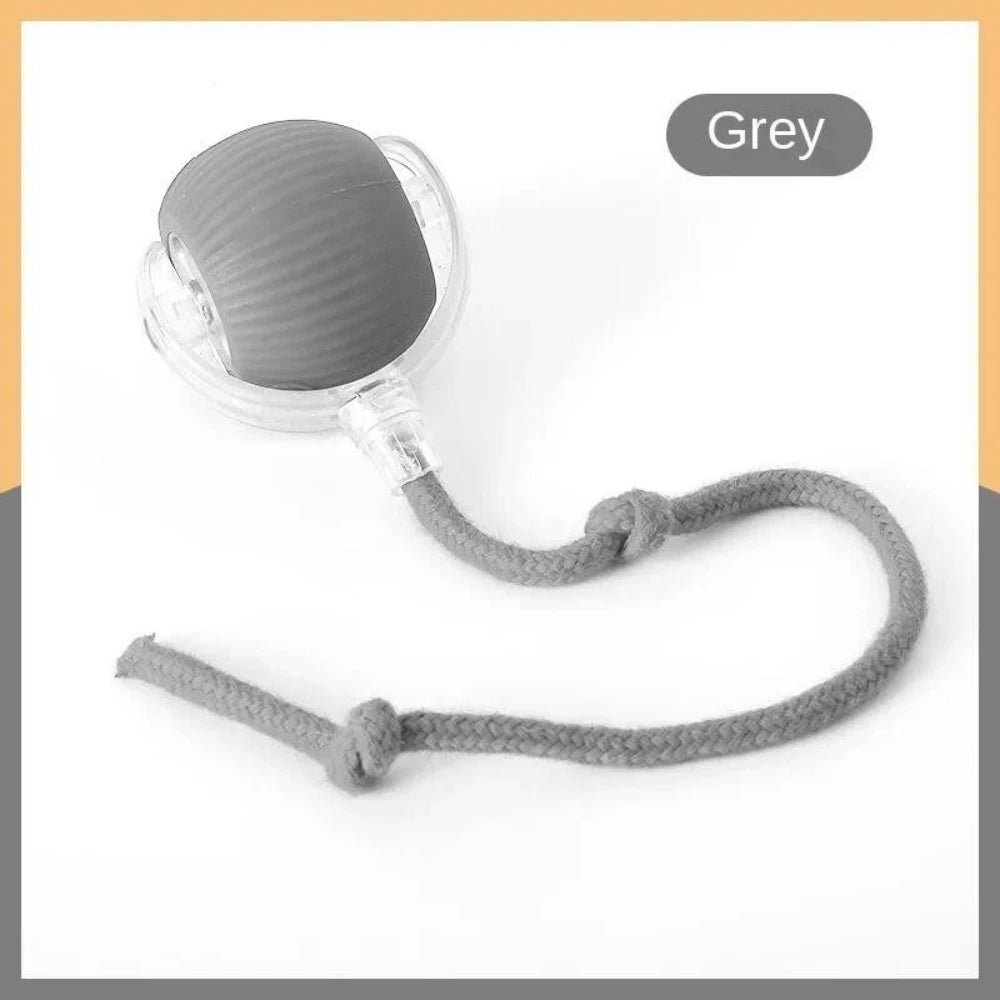 Interactive Automatic Rolling Ball Toy for Cats and Dogs