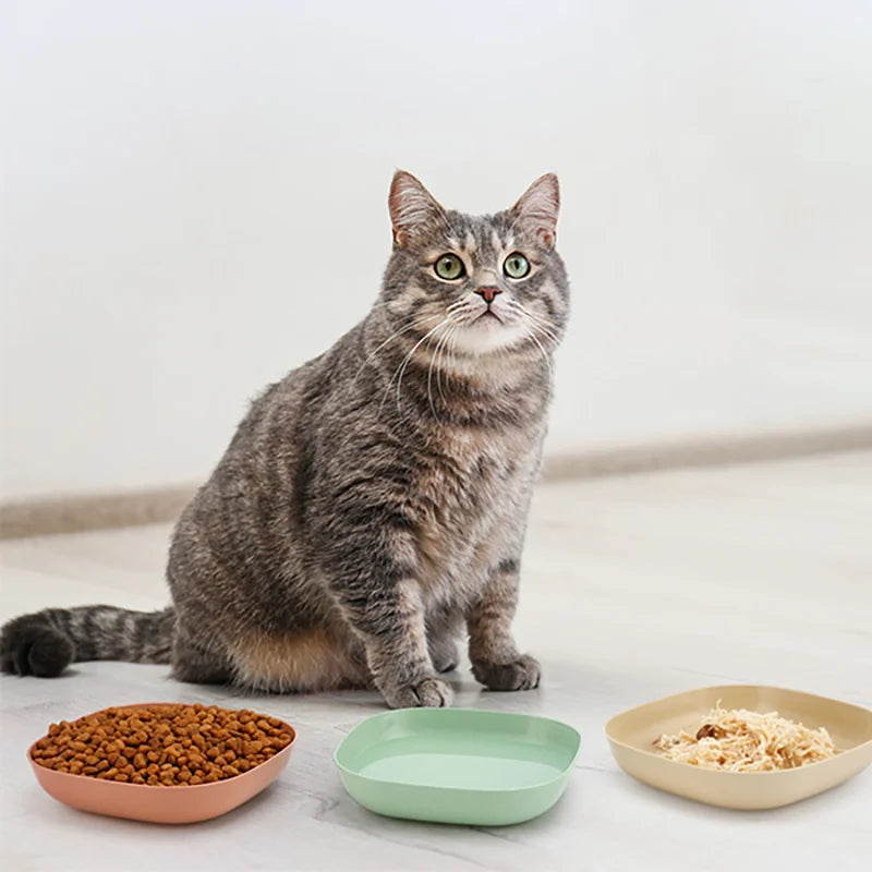 3/10/20pcs Non-Slip Plastic Cat Bowls Set for Kittens and Small Pets