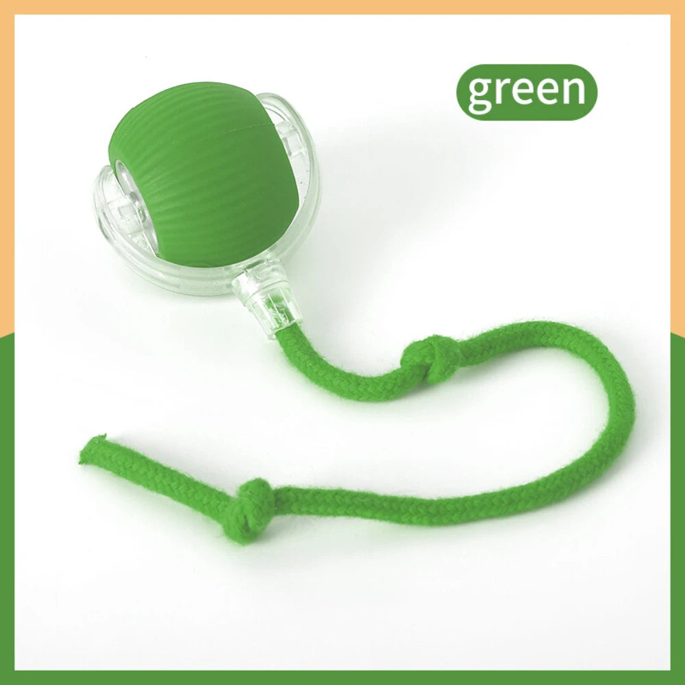 Interactive Automatic Rolling Ball Toy for Cats and Dogs
