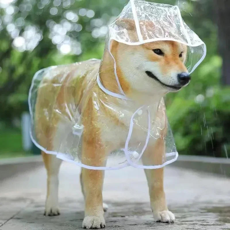 Transparent Hooded Dog Raincoat for Small Dogs