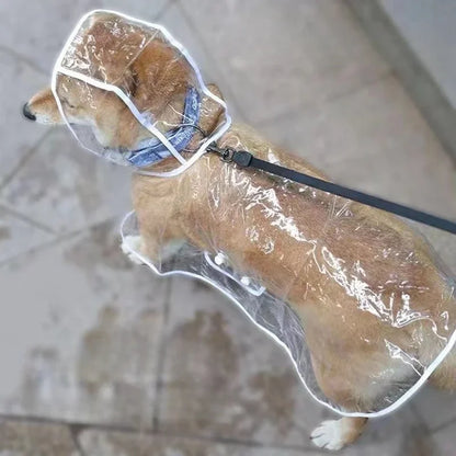 Transparent Hooded Dog Raincoat for Small Dogs