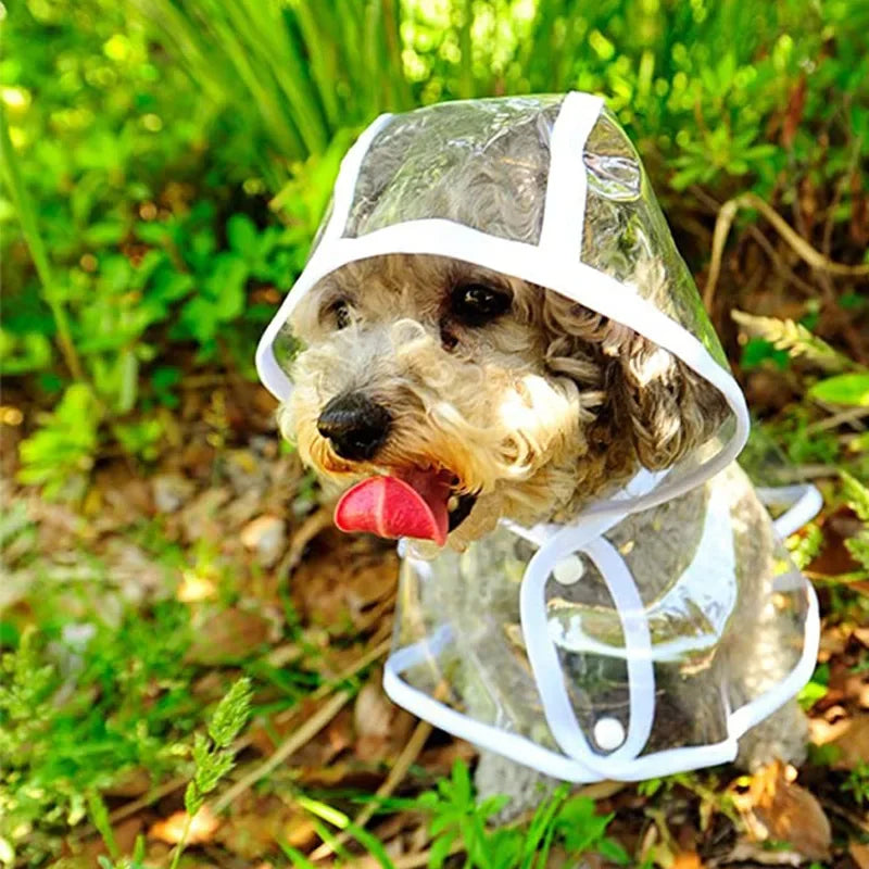 Transparent Hooded Dog Raincoat for Small Dogs