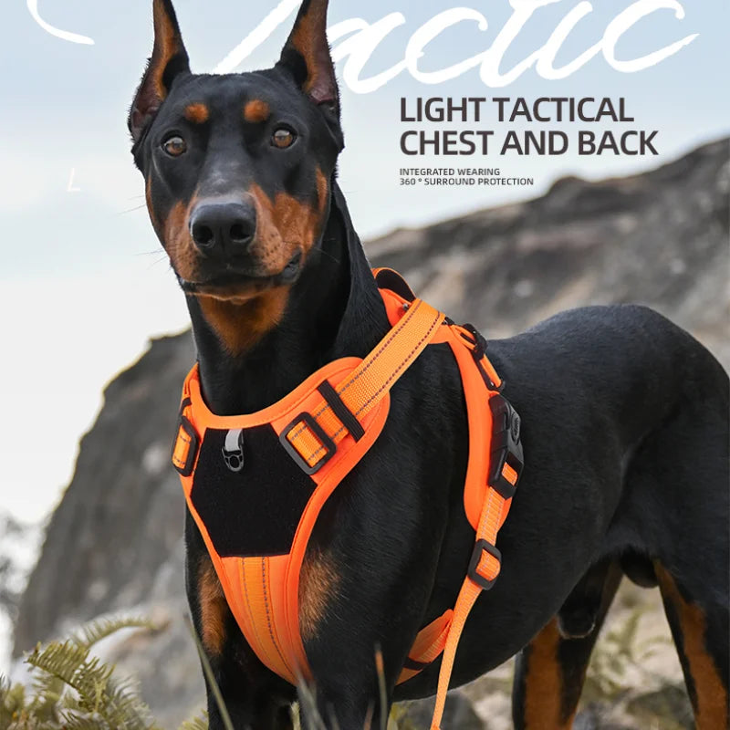 Adjustable Reflective Nylon Dog Harness with No-Pull Design