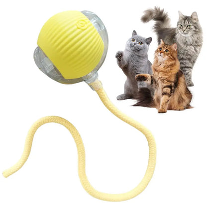 Interactive Automatic Rolling Ball Toy for Cats and Dogs