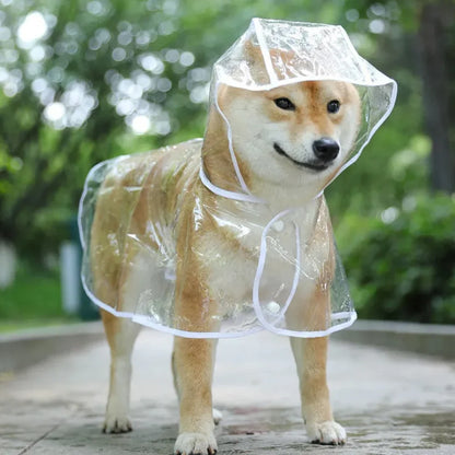 Transparent Hooded Dog Raincoat for Small Dogs