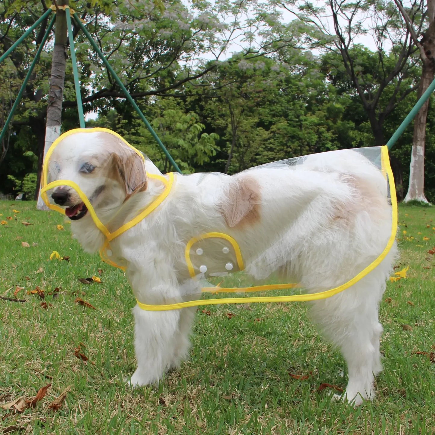 Transparent Hooded Dog Raincoat for Small Dogs